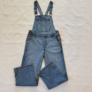 American Eagle Outfitters Wide Leg Stretch Denim Overall Size L